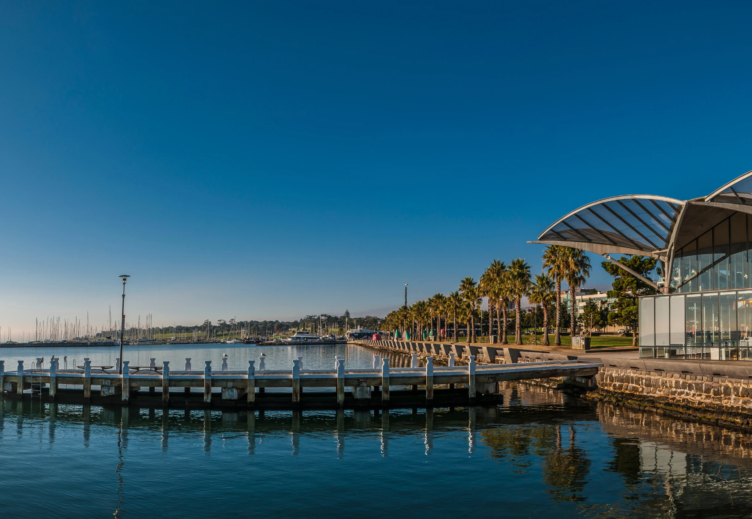 Financial Planner Geelong