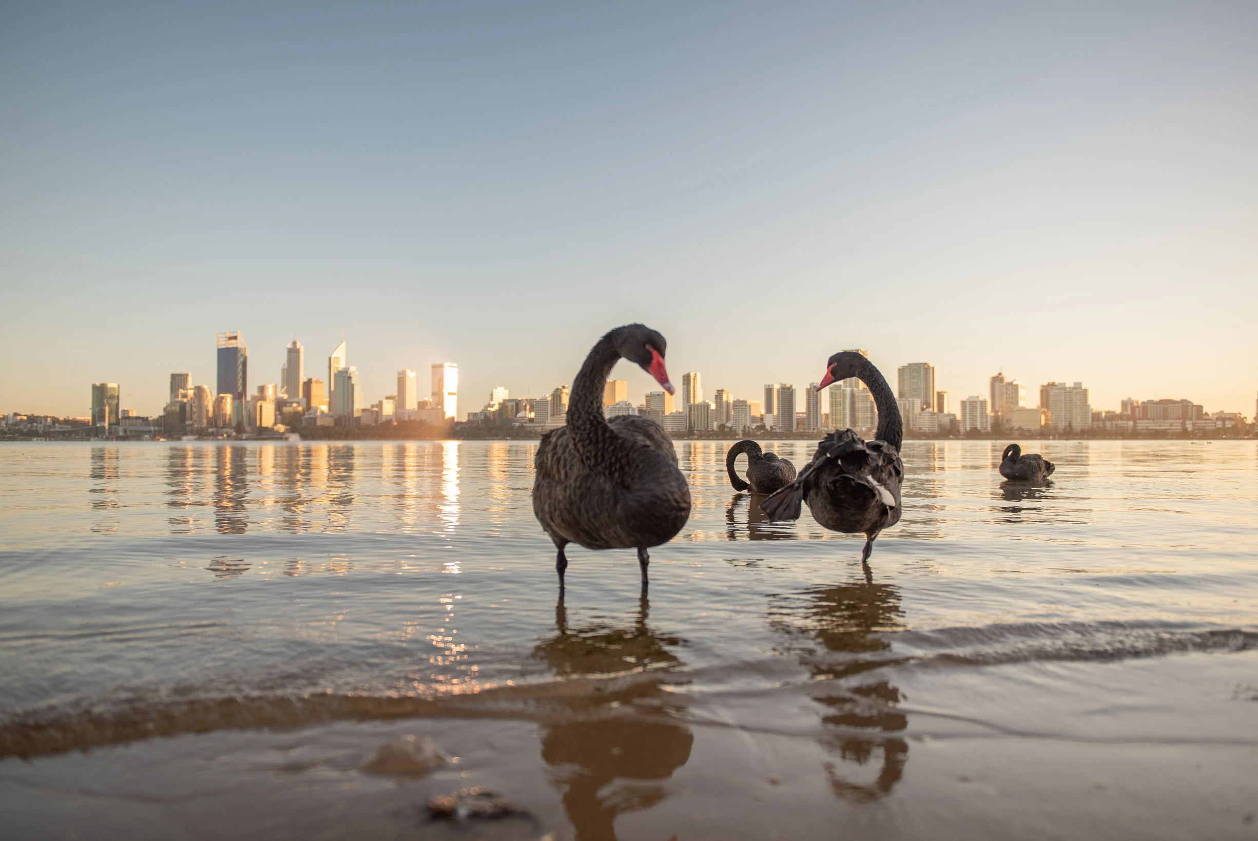 Financial Planner Perth